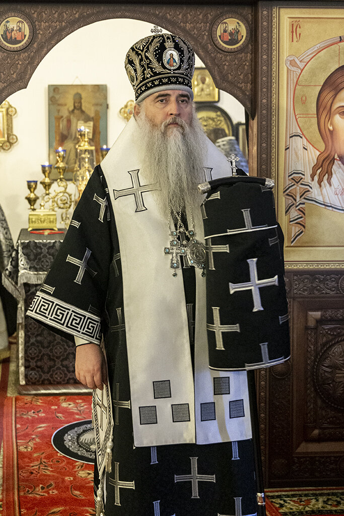 Митрополит Саратовский и Вольский ЛОНГИН