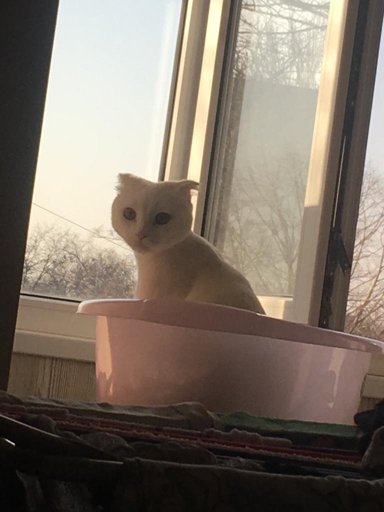 «Как до сентября?»