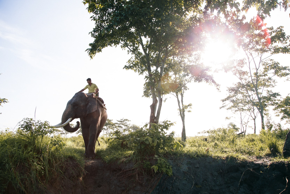 Изображение © Jody MacDonald