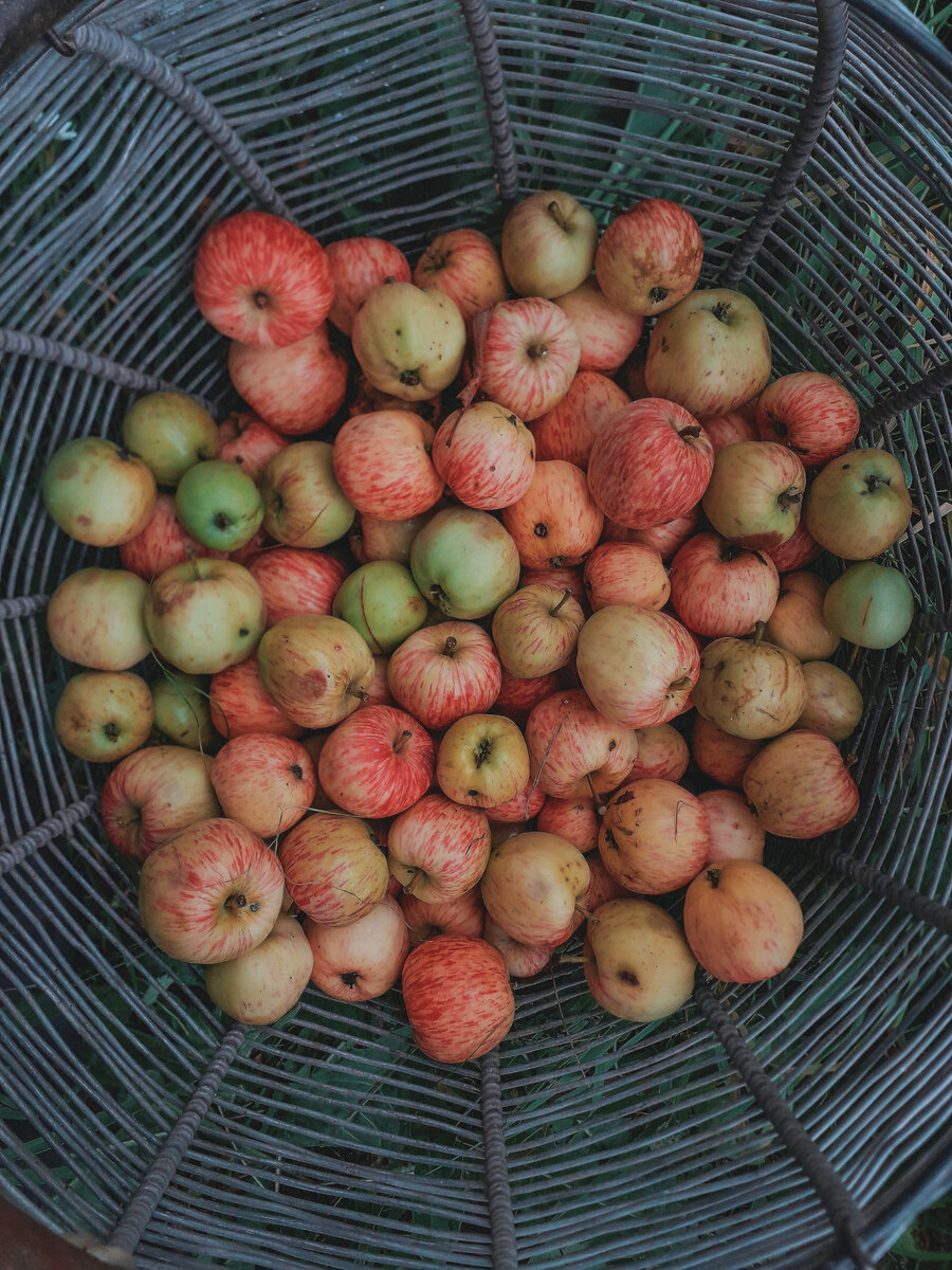 Фото  Julia Berezina