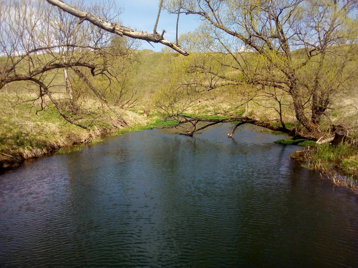 река Снежедь