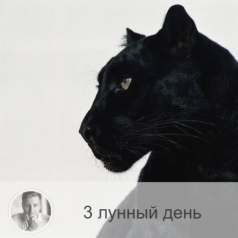 Подписывайтесь на наш канал, друзья!
3-ий лунный день с 7:55 21-ого по 9:25 22-ого. 🔆 Благоприятно очищение астрального тела.
🐆 Символы дня – барс, леопард.
🎂 Люди, рождённые в этот лунный день, должны научиться владеть астральными энергиям и относиться к ним сознательно. В противном случае, они могут навофдить на людей порчу и глаз, вместо положительного влияния. Их несдержанность портит их собственную карму.
💍 Камень – рубин и авантюрин.
🌞 3-ий лунный день - это время астральный борьбы. Предыдущие 2 дня были посвящены очистке тела и души, а теперь пришло время очистить астральное тело. Нарушения требований третьего лунного дня ведёт к тому, что человек становится доступным для астрального нападения, то есть он становится чувствителен к сглазу и порче. Человек становится мстительным и злорадным, если вы поймайте себя на этом и не воспротивитесь самому себе, то это может привести к заболеванию бронхов.
✅ Рекомендуемые практики: разминка для суставов, работы с биополем.
Необходимо освобождаться от негативных эмоций, быть внимательным к своим реакциям в общении и накапливать энергию. В этом вам помогут физически упражнения для суставов, ведь в каждом суставе находится энергетический центр. подойдут любые упражнения, направленные на улучшение их подвижности. Если суставы не в порядке, наступает застой энергии. В этот день хорошо работать с биополем.
❌Запрещено: хамство, заточка ножей
Помните, что сегодня - день провокаций.
⭕️ Уязвимые органы: уши и затылок.
В этот день хорошо массировать уши и затылок, ведь там находится много биоактивных зон, которые наиболее восприимчивы сегодня.
⚠️ Знак:
Разлитое масло – это знак того, что вы плохо владеете астральными энергиями. А ощущение удушья - что у вас нарушено взаимодействие с миром.
💤 Эти сны редко сбываются, но могут показать вашу решительность. Если во сне вы проиграли, то переиграйте утром исход сна на желательный.

—————
→ Узнай больше о еженедельной благотворительной рубрике «Звёздный час» в Instagram.com/oleg_persidski