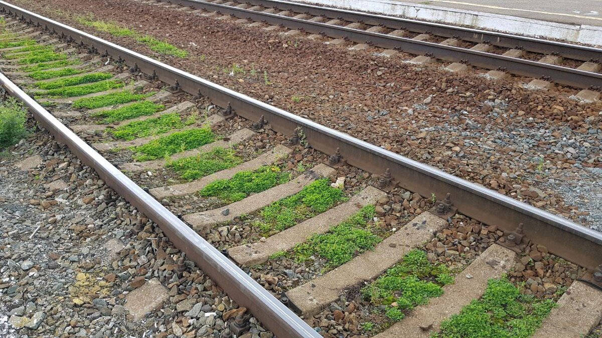 Фото: Андрей Журавлев