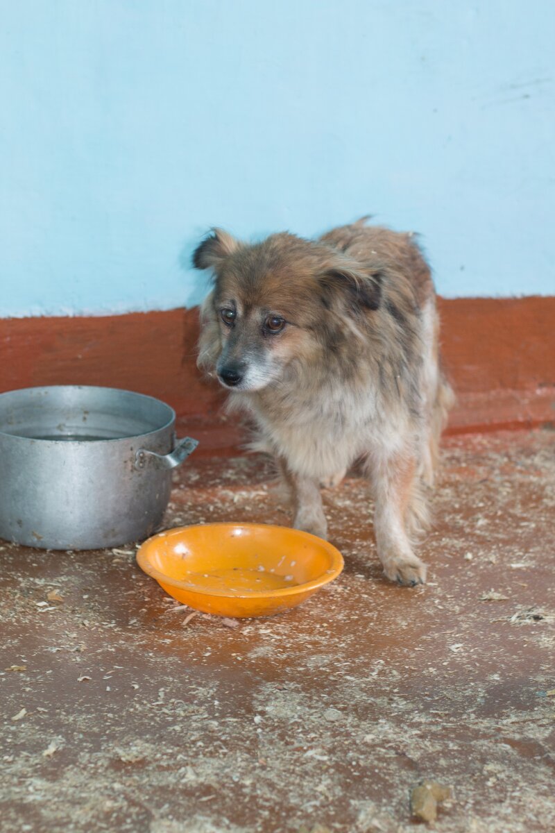Этой, кнопки повезло в пятницу она уехала на пмж. 