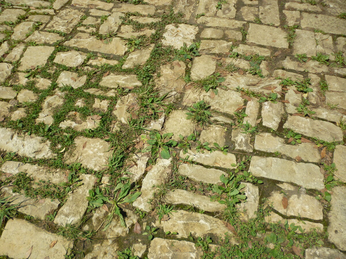 Яндекс.Картинки