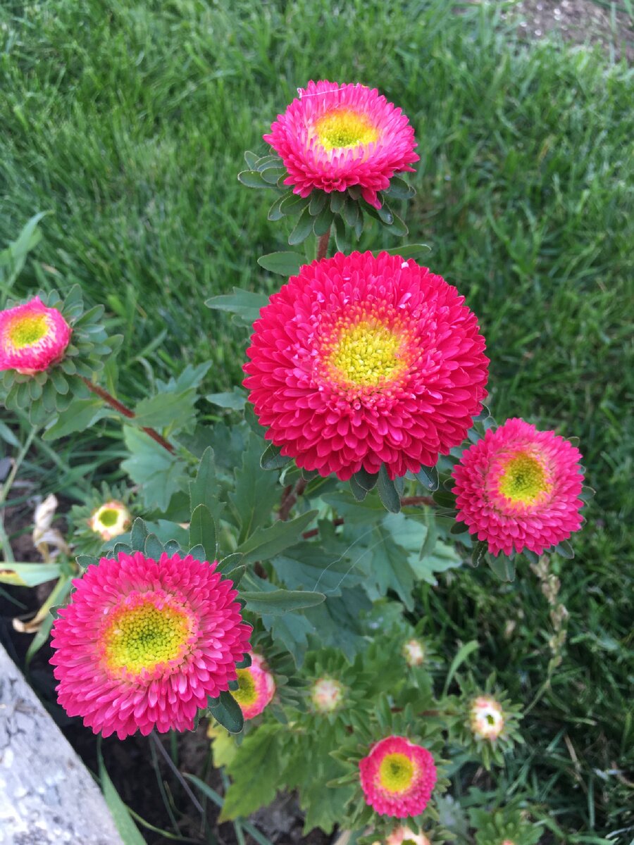 Эмоции - то, чем мы живем...