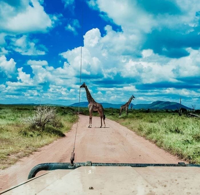Водить тут машину - потрясающий опыт!