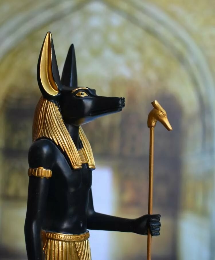 Яндекс картинки