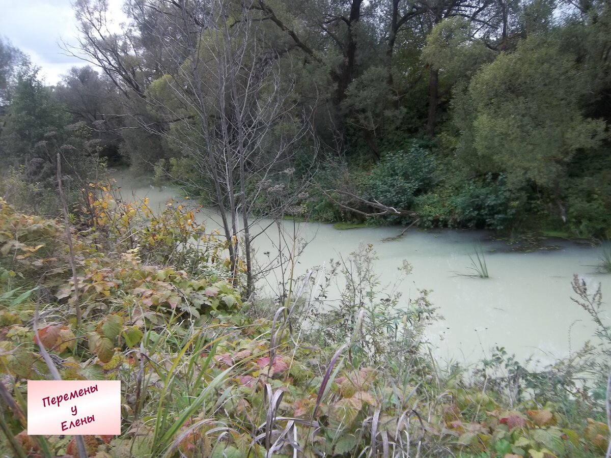 Удивительное зрелище