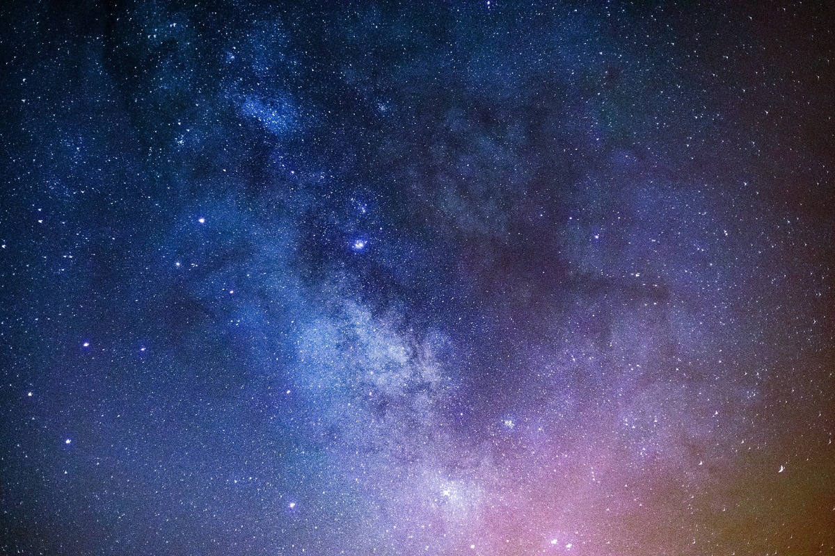 Photo by Andy Holmes on Unsplash