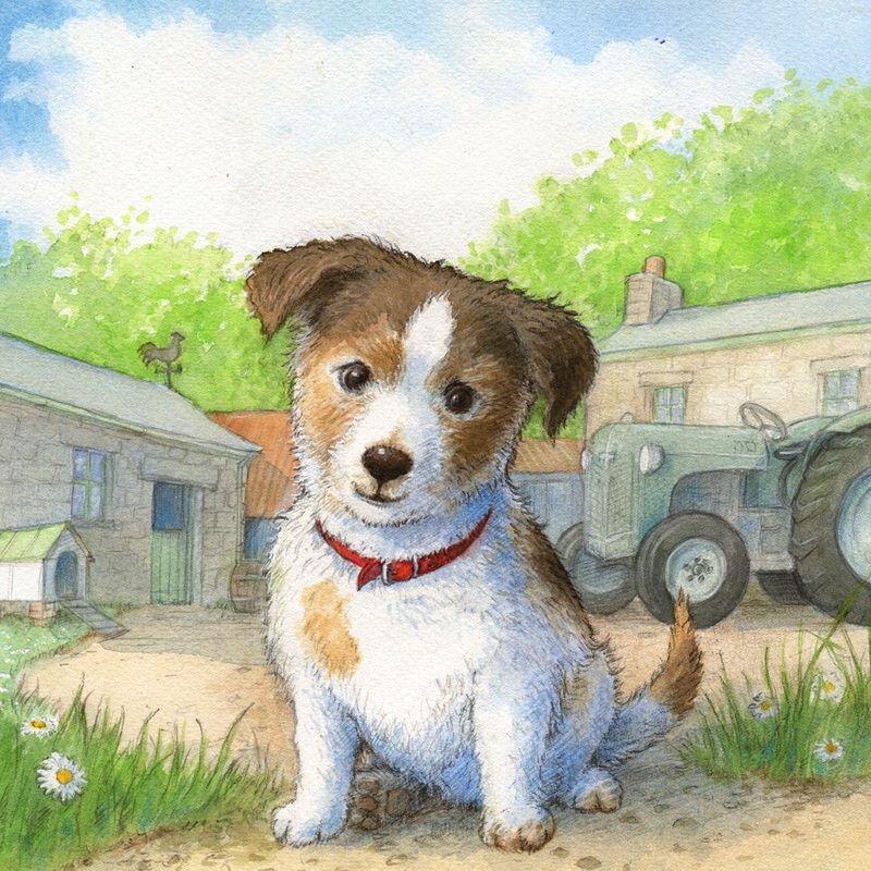 С просторов интернета