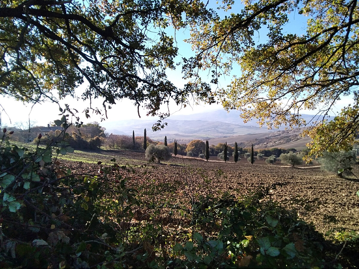 Тоскана, фото автора 