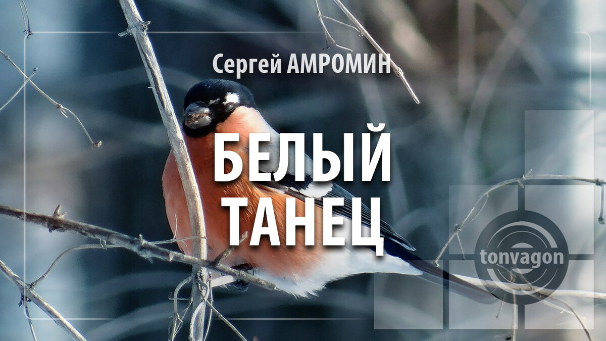 Стихотворение участвовало в конкурсе проекта ТОН-ВАГОН