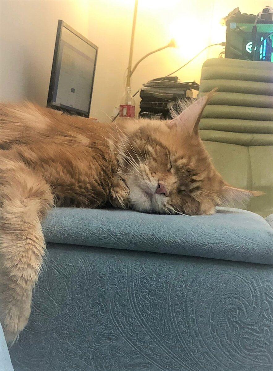 Фото из личного архива.