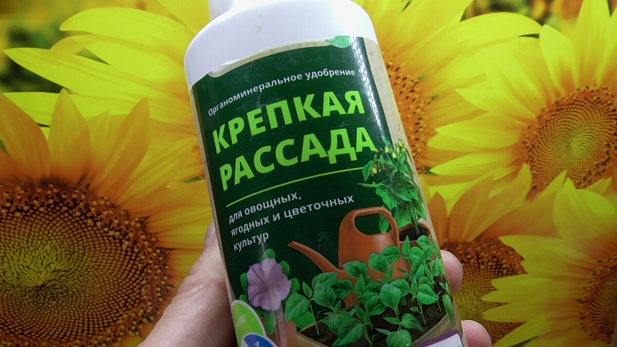 Для предпосевного замачивания подойдут любые средства для подкормок растений.