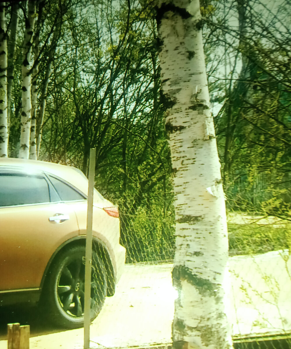 Фотография автора. Наши ворота и забор.