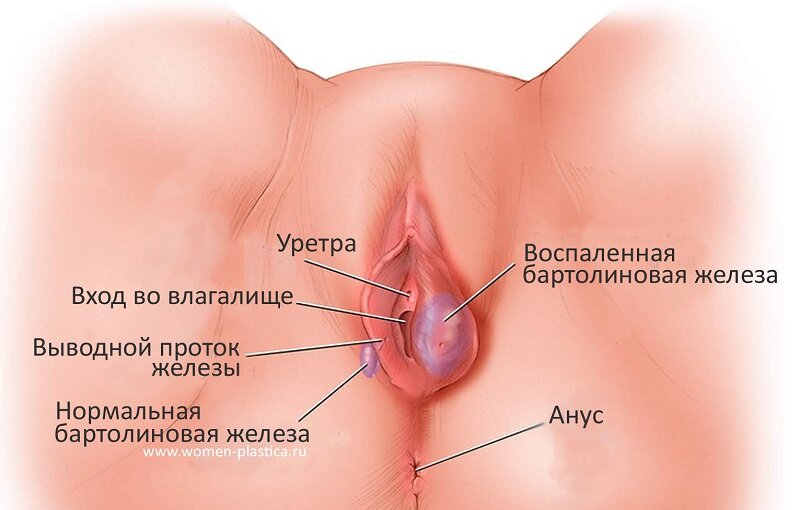 Влагалища разных девушек (57 фото) - секс и порно riosalon.ru
