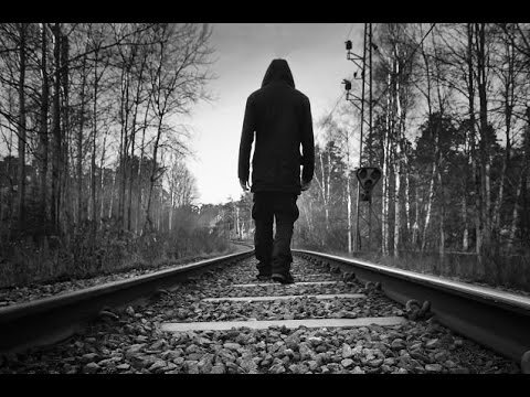 Из открытых источников Яндекс