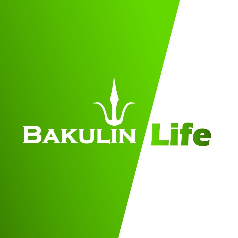Bakulin Life – проект возрождения России