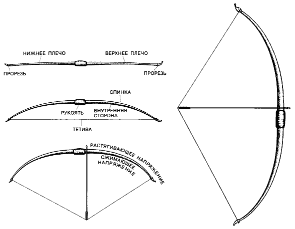 Наконечник традиционный Daoci gn (3 шт)