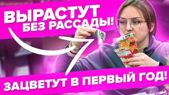 ОНИ ВЫРАСТУТ БЕЗ РАССАДЫ и ЗАЦВЕТУТ В ГОД ПОСЕВА!