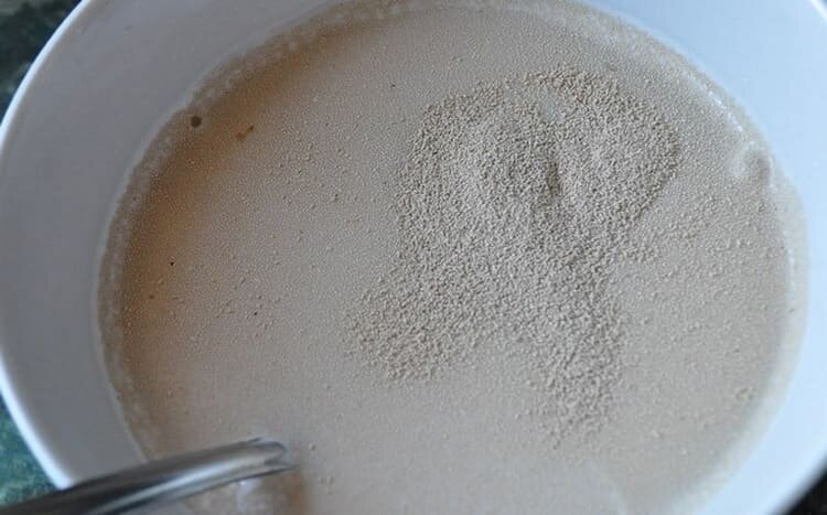 дрожжи поместили в подслащенную воду