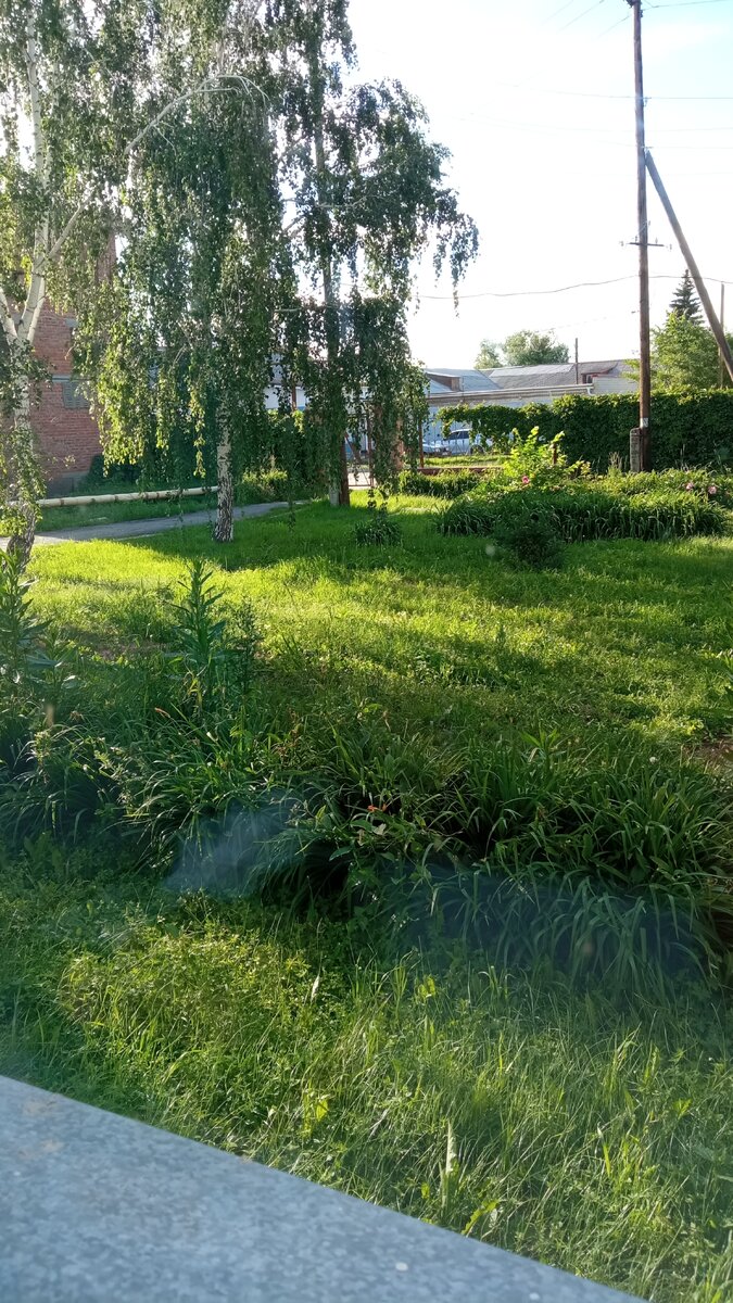 Вид из окна