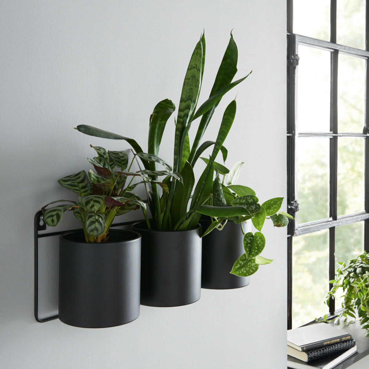 Кашпо настенное "Modern" (Артикул: 08396)