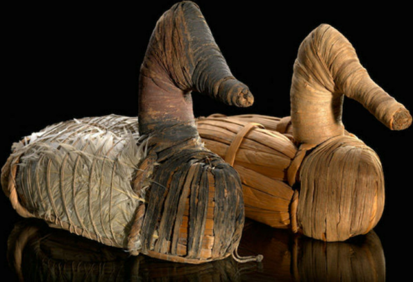 Приманки для уток из пещеры Лавлок Все фото взяты из открытых источников