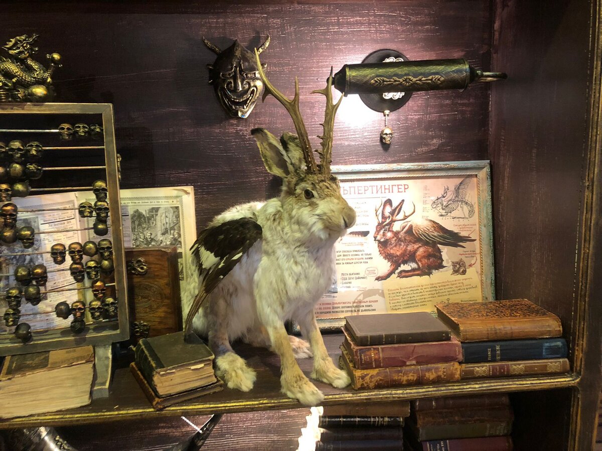 Рогатый заяц - он же кролень, он же зайцелоп, он же вольпертингер