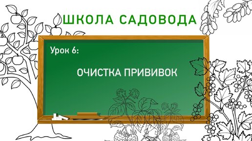 Уход за прививкой. Школа садовода. Урок 6