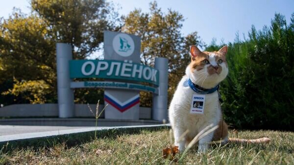   © Dmitry Makeev
