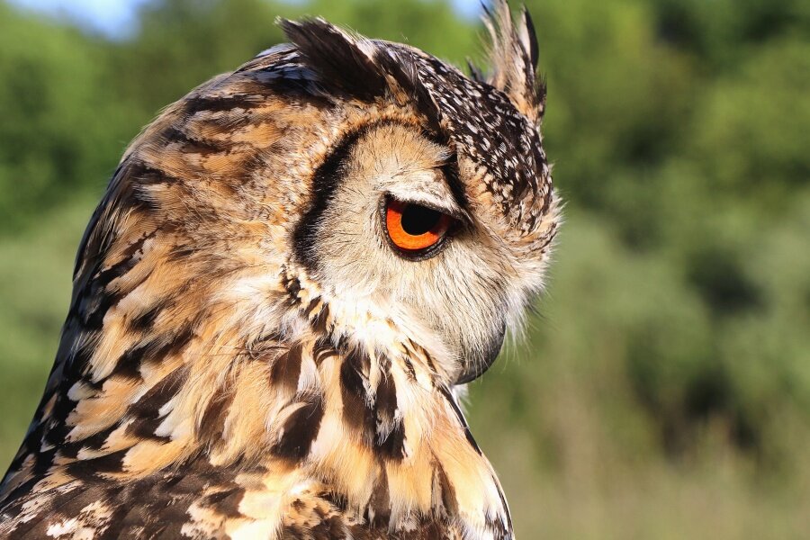 Ты зря это сказал....