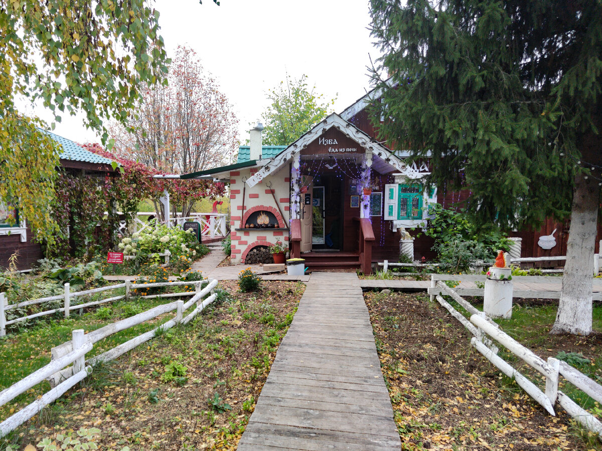 Берёзка, ёлочка — ну просто сказка! 