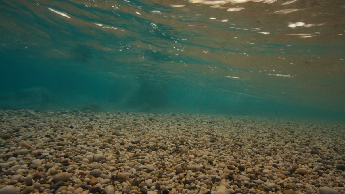 Кадр перебивки