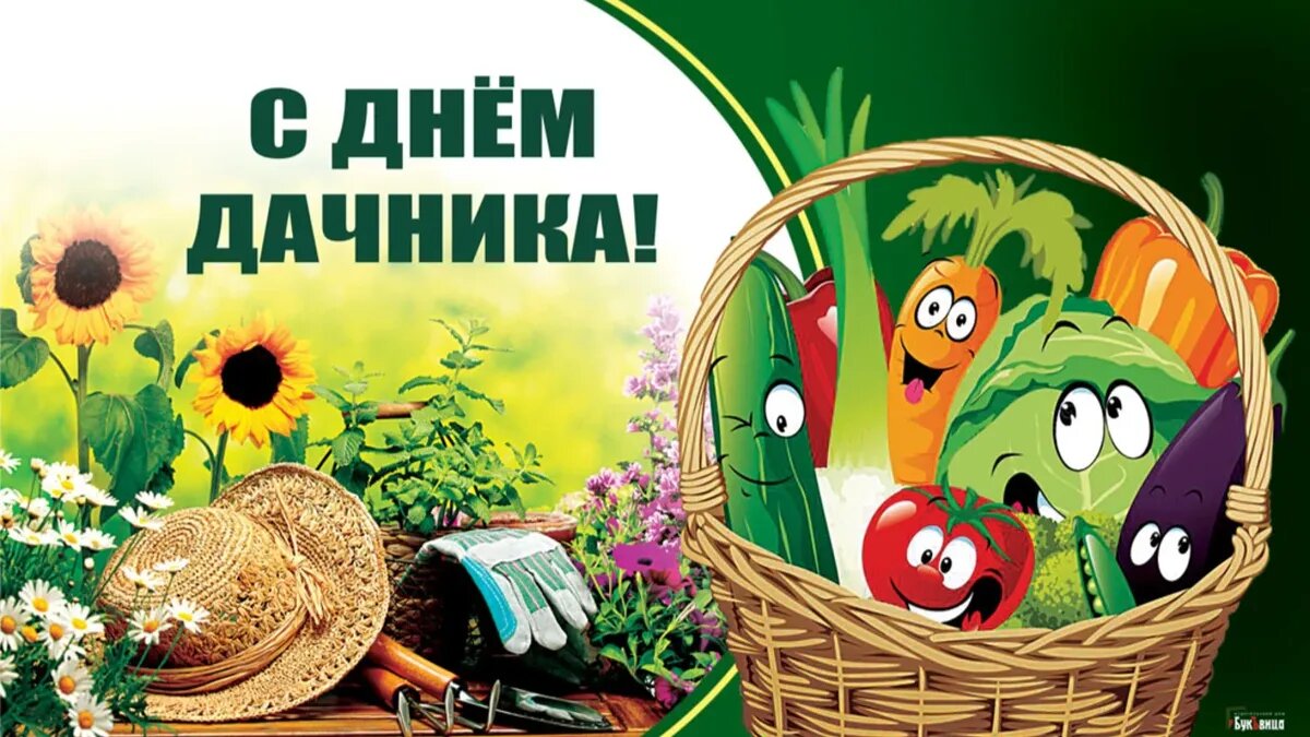 Обладатели дачных участков наслаждаются отдыхом на своих дачах в это время года. Фото: Курьер Среда