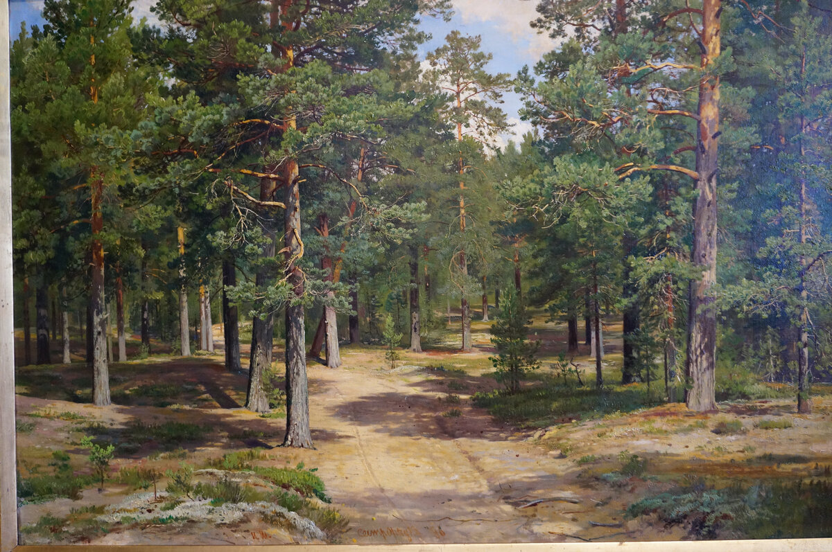 И.И.Шишкин. Сестрорецкий бор. 1886г. Серпуховский историко-художественный музей. Фото из личного архива.