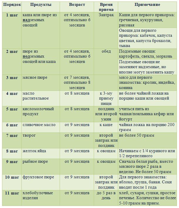 Как вводить прикорм: простой алгоритм — 49 ответов | форум Babyblog