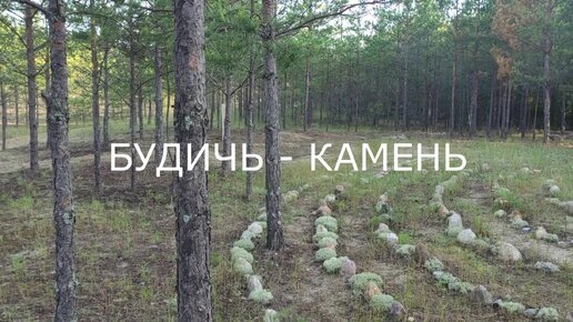 Будичь камень - капище язычников.