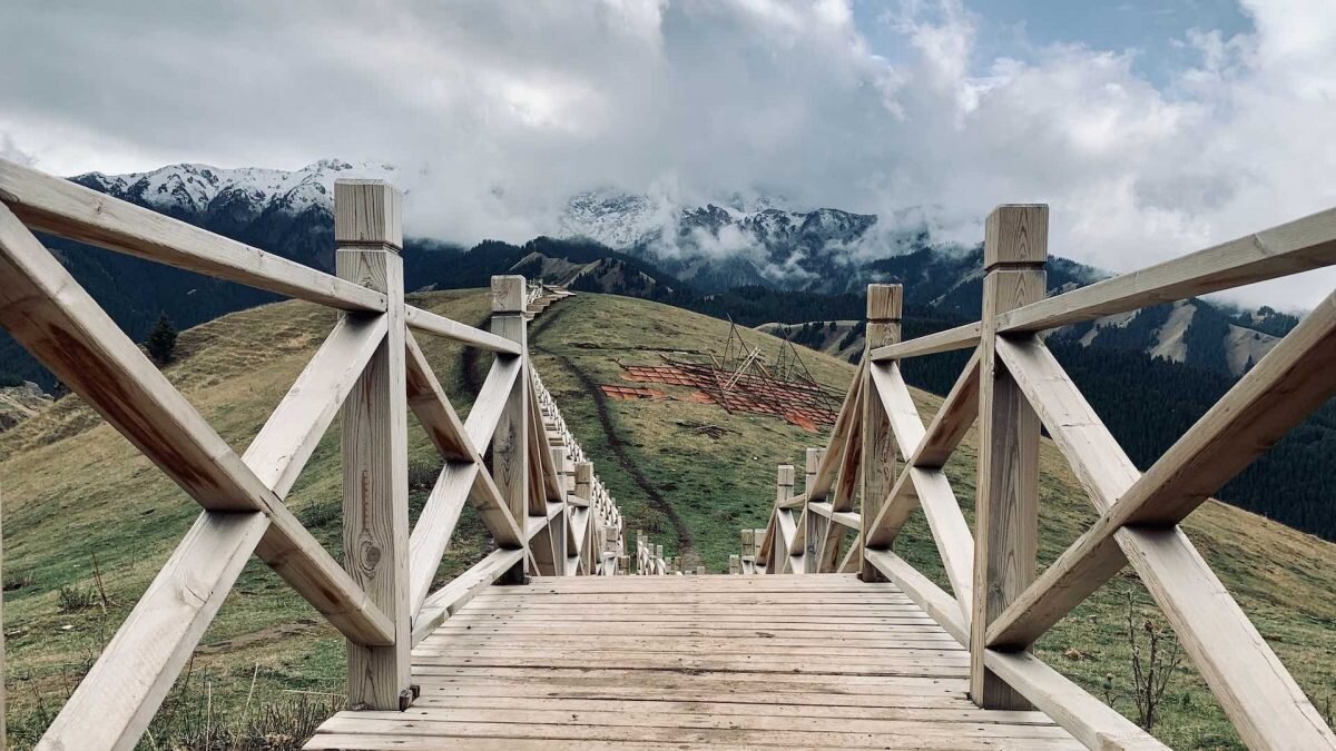    Фото: unsplash Август Макаров