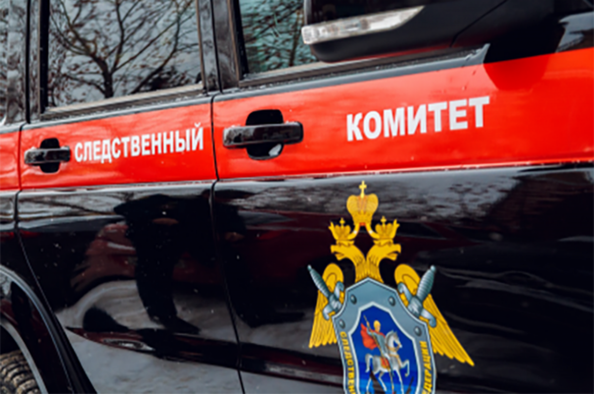   В Самаре женщина придумала детей и получала на них пособия