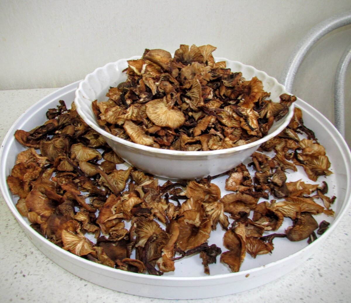 Самые свежие рецепты для Вас!