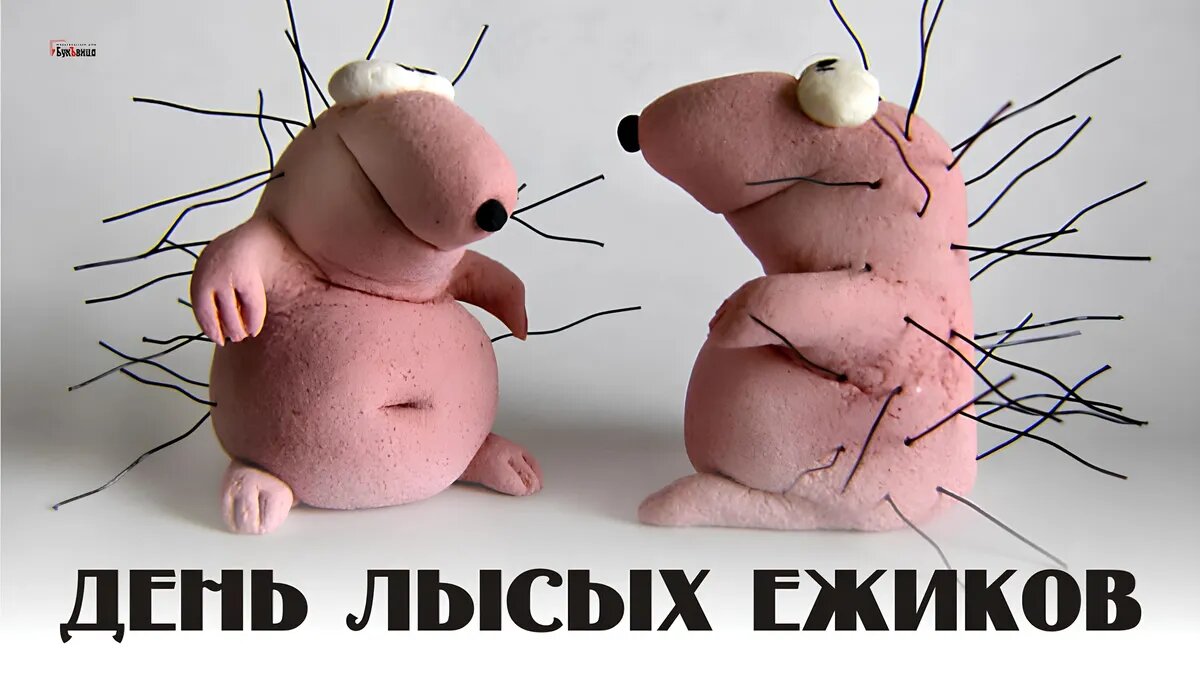День лысого ежа. День лысых ежиков картинки прикольные. День лысых ежиков открытки. Еж лысый поздравление с днём рождения. День лысых ежиков открытки.