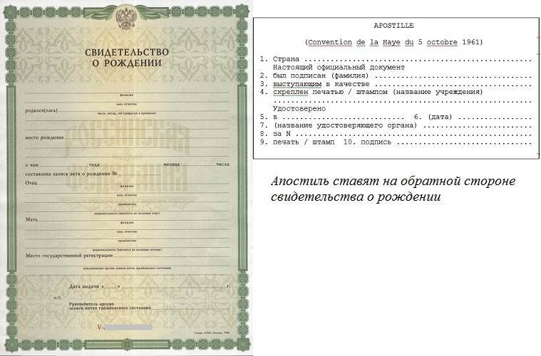 Как выглядит электронное свидетельство о рождении