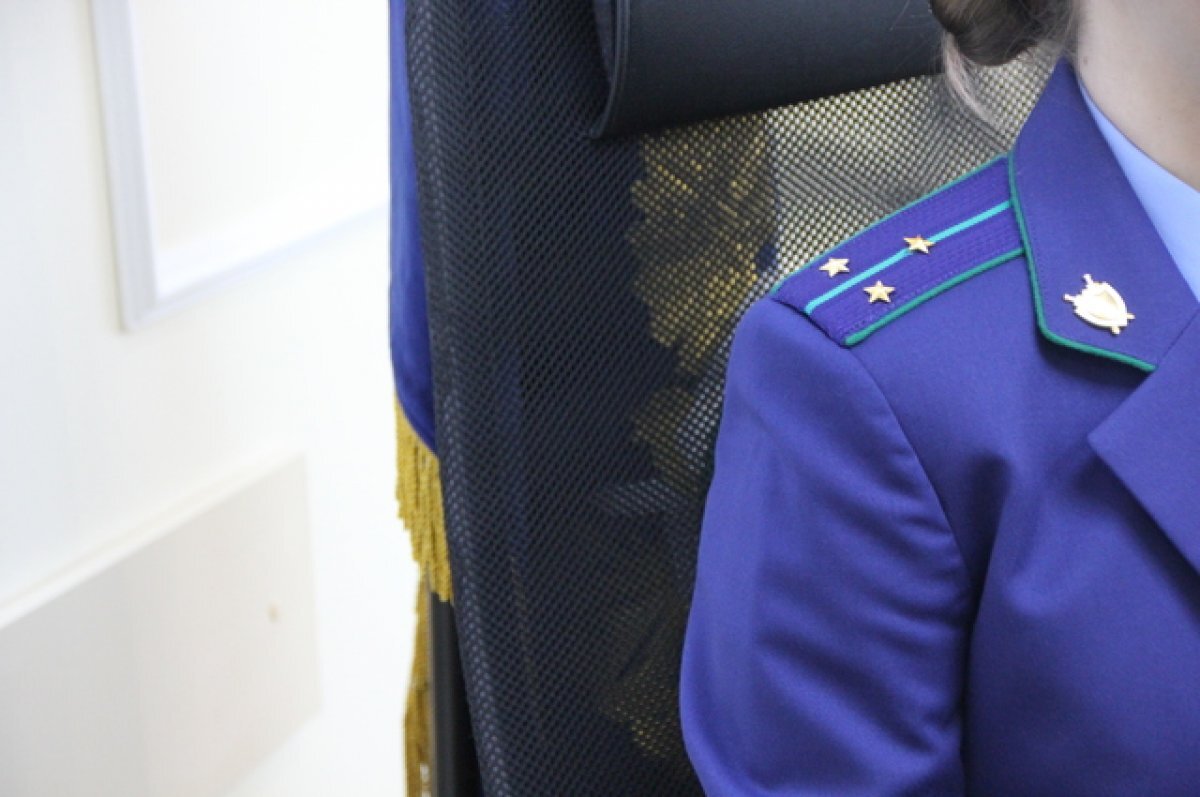    Власти района на Камчатке обязали заранее организовать площадку для снега