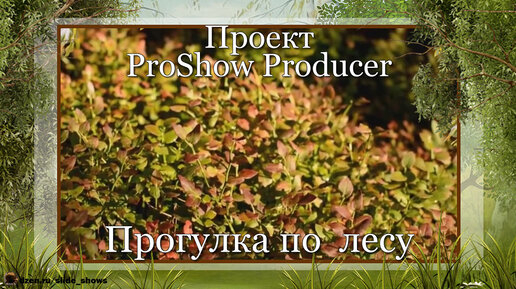 Прогулка по лесу | Free project for ProShow Producer