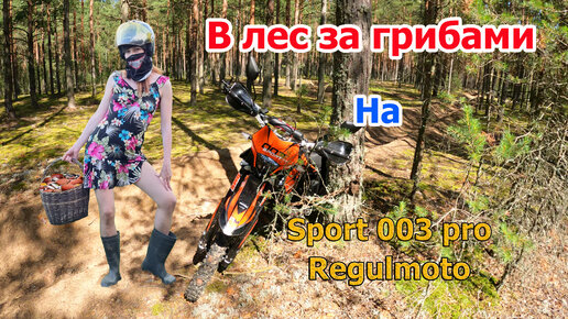 Поездка на эндуро мотоцикле regulmoto sport 003 pro 300 за грибами в лес в жару