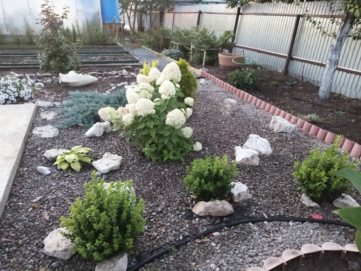 Личное фото автора