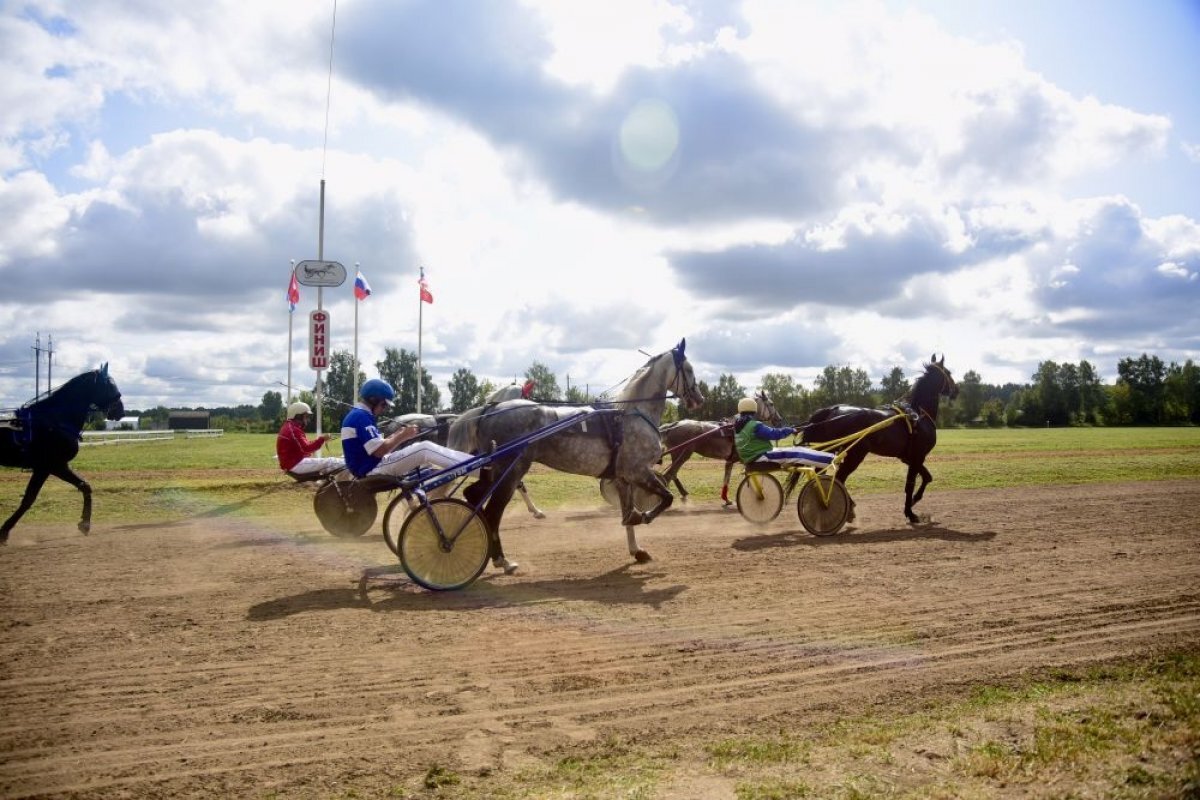    В Орловской области прошли конные бега на кубок губернатора