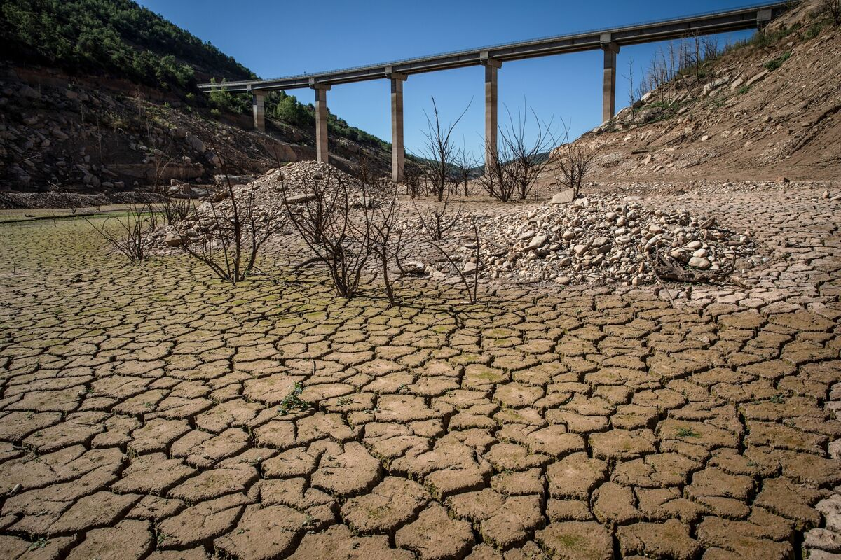 Засуха значение. Засуха. Засуха в Европе. Засуха фото. Засуха в Китае.